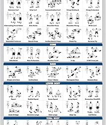 8 Best Dumbbells Back Workout Kits: Grip, Support and Ceiling