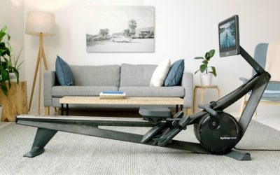 8 Best Gym Equipment for Full Body Workout: 5 Key Choices