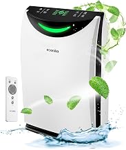 Best Air Purifier And Humidifier Combo (2026)