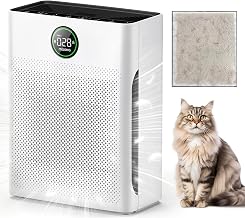 Best Air Purifier Cats (2026)