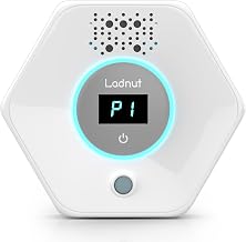 Best Air Purifier For Litter Box Smell (2026)