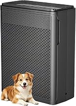 Best Air Purifier For Smoker (2026)