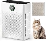 8 Best Air Purifiers for Large Rooms Over 1,000 Sq Ft: Buying Guide