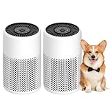 8 Best Air Purifiers for Smoke and Wildfire Season: Carbon Filter Picks