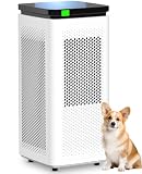 8 Best Air Purifiers for Wildfire Smoke: Carbon and HEPA Combos That Work