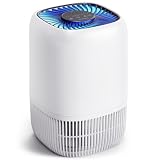 8 Best Air Purifiers Under $200 for Mid-Size Rooms: Value Roundup