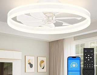 Best Bladeless Ceiling Fan (2026)