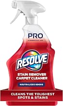 Best Carpet Cleaner (2026)