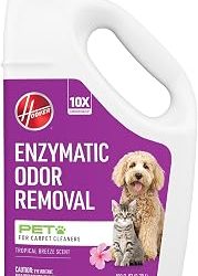 Best Carpet Cleaner Solution Pets (2026)