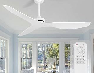 Best Dc Ceiling Fan (2026)