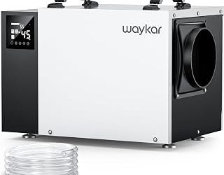 Best Dehumidifier For Crawl Spaces (2026)