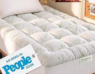 Best Dorm Mattress Topper Twin Xl (2026)