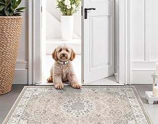 Best Entryway Rug (2026)