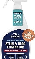Best Enzyme Carpet Cleaner For Dog Urine (2026)