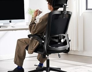 Best Ergonomic Office Chair With Lumbar Support (2026)