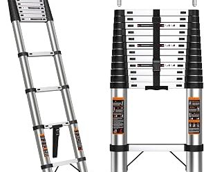 Best Extending Ladder (2026)