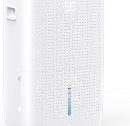 Best Garage Dehumidifier (2026)