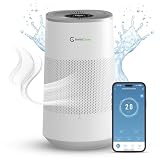 6 Best Humidifier and Air Purifier Combo Units for Small Homes