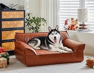 Best Leather Sofa For Dogs (2026)