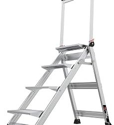 Best Little Giant Ladder (2026)