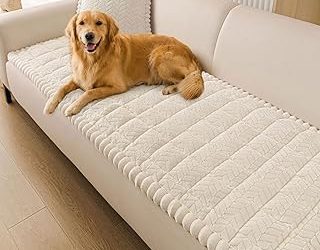 Best Material For Sofa With Cats (2026)