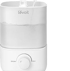Best Place To Keep Humidifier (2026)