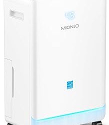 Best Place To Put Dehumidifier In 2 Story House (2026)