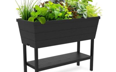 8 Best Raised Garden Beds for Urban Gardening on Patios