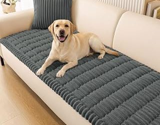 Best Sofa Cover For Pets (2026)