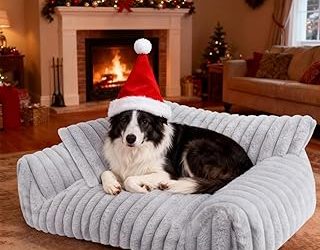 Best Sofa For Dog Owners (2026)