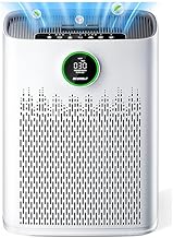 Best Voc Air Purifier (2026)