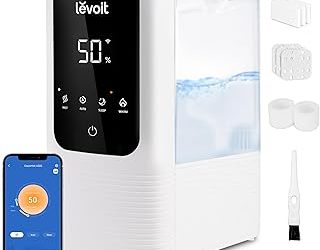 Best Warm Moisture Humidifier (2026)
