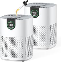 Best Washable Filter Air Purifier (2026)