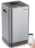 8 Best Whole-House Air Purifiers for Open-Concept Homes: Top Picks