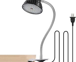 Best Workbench Light (2026)