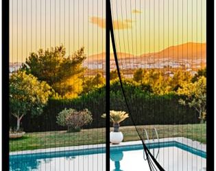 How to Create a Pet-Friendly Patio Environment