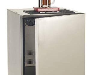 Review: The Most User-Friendly Outdoor Kegerators