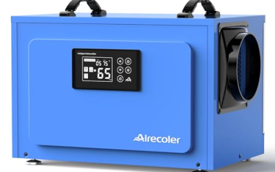 Best Commercial Desiccant Dehumidifier for Crawl Space Restoration in 2026: Compared and Ranked