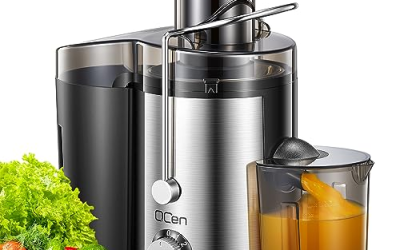 Best Fruit Juicer Machine