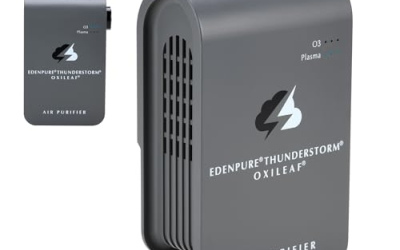 8 Best Air Purifiers for Mold Spores and Musty Basement Air