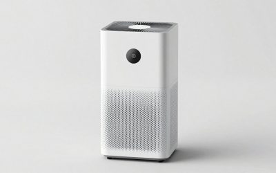 Air Purifier for Entire House: One Big Unit or Several Small?