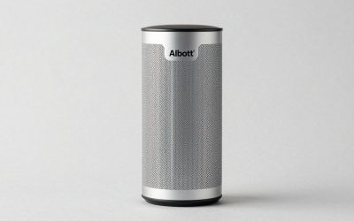 Albott 12 vs Small Mini Split Air-Conditioner: Which Should You Buy?