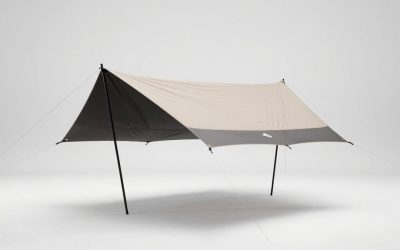Best Canopy Tents for Events, Camping, and Backyard Shade
