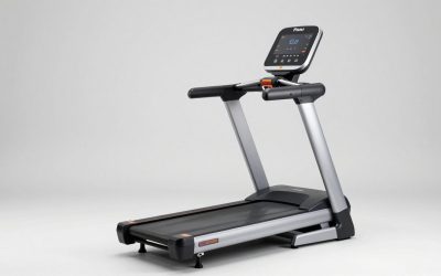 Best Dog Treadmills for Large Dogs: Quiet & Durable