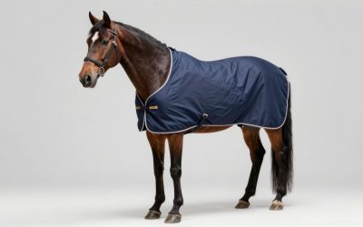 Best Horse Blankets: Warmth, Fit & Waterproofing