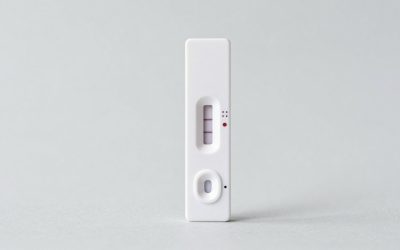 Best Mold Test Kits for Indoor Air Quality in 2026: Compared and Ranked