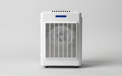 Best Whole House Humidifier: 7 Furnace-Mounted and Console Units