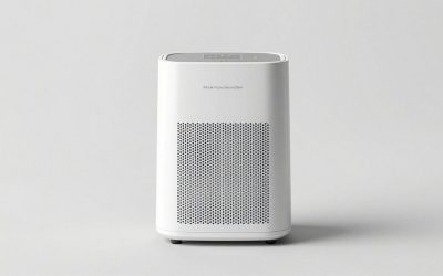 How to Choose Whole House Dehumidifiers for Basements: What Actually Matters