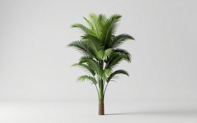 Plants vs Brainrots Christmas Part 1 Update